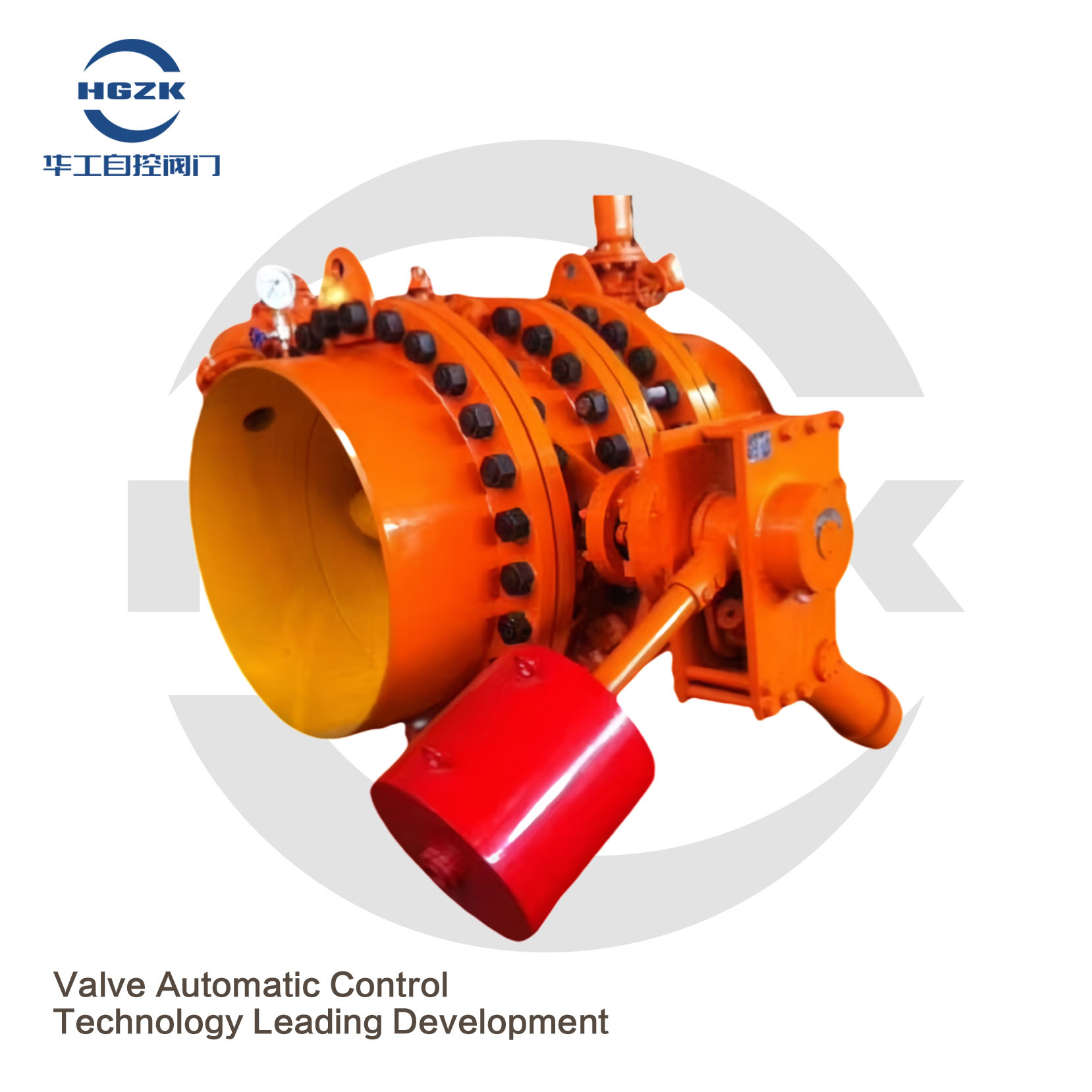 Design versatile e adattabile per soddisfare le diverse esigenze degli acquirenti all'ingrosso