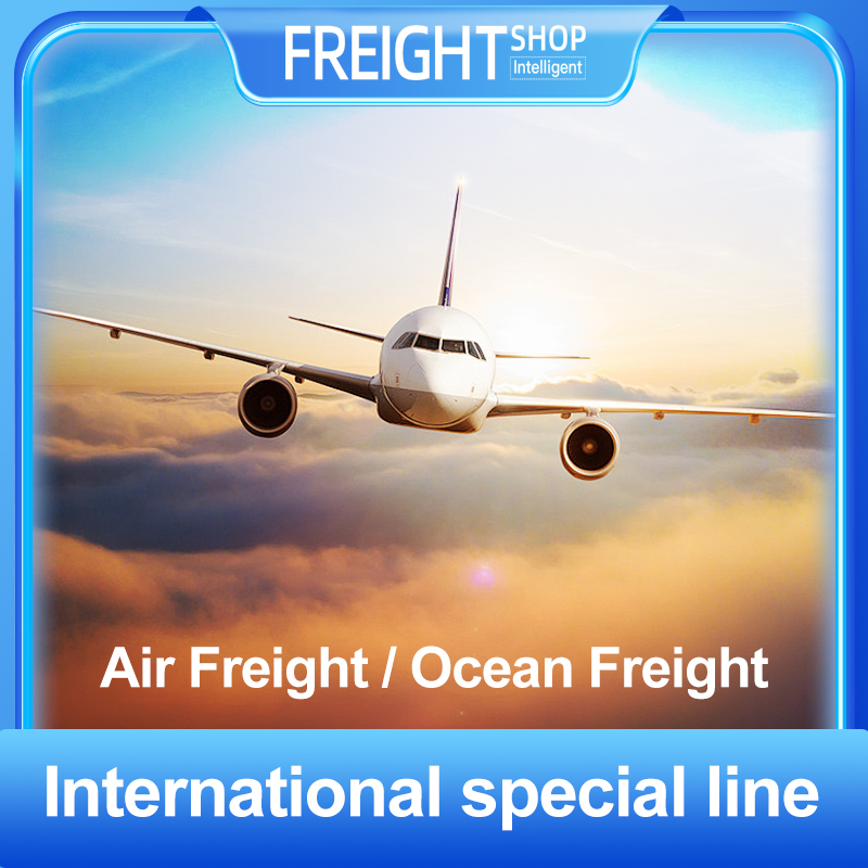 Air and Ocean Freight Solutions: The Backbone of Our International Special Line