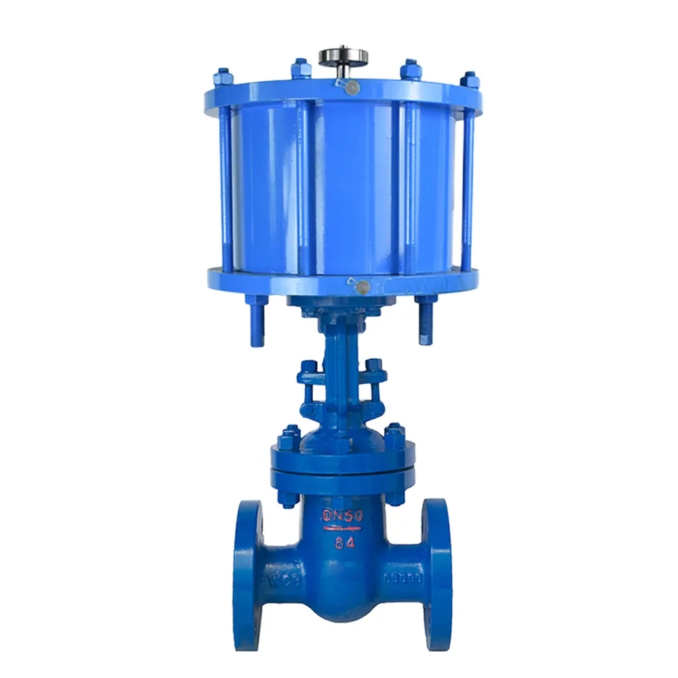 Versatile Gate Valve for Different Fluids