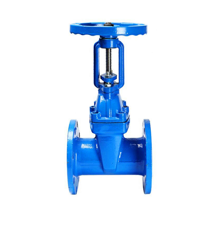 Versatile Gate Valve for Different Fluids
