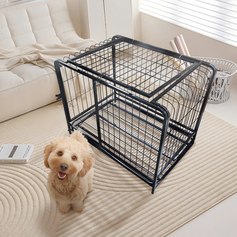 Iron Pet Cage