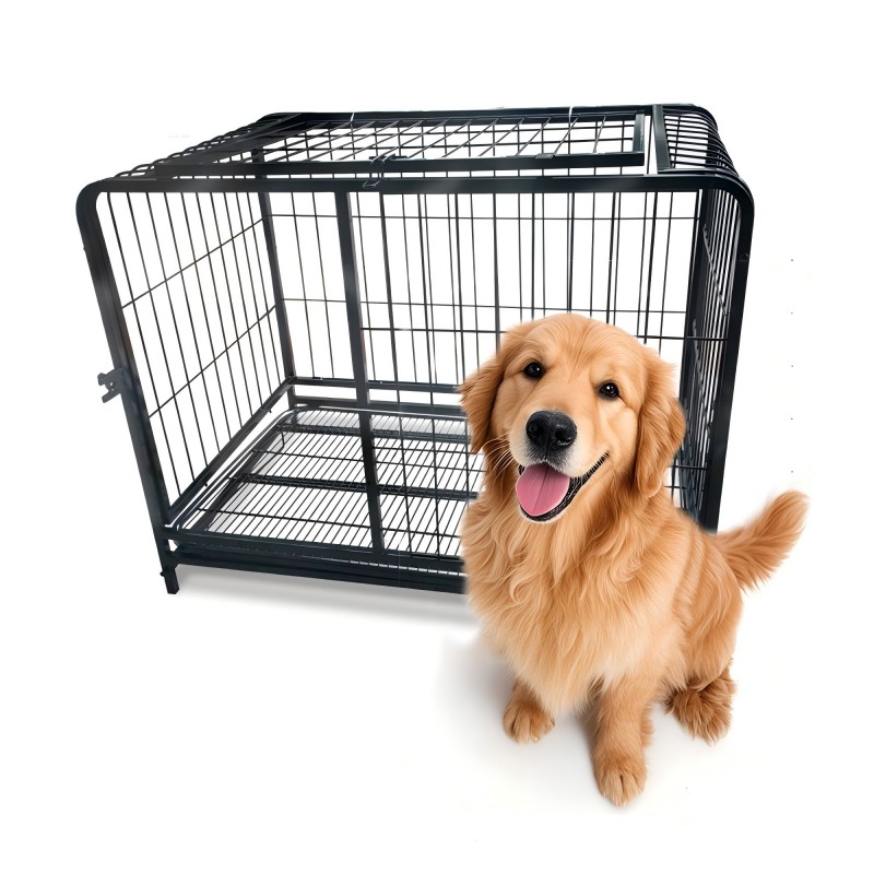 Iron Pet Cage