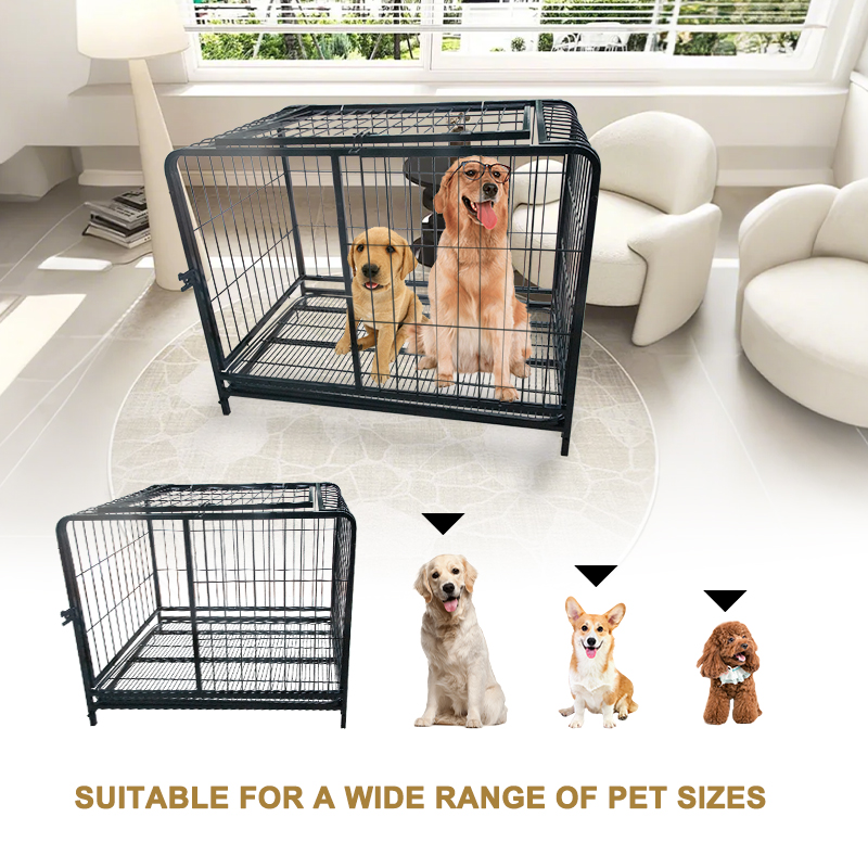 Iron Pet Cage