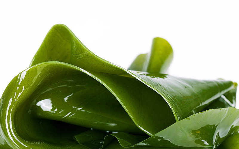 海带片 泡发后 详情用(21c219168d).jpg