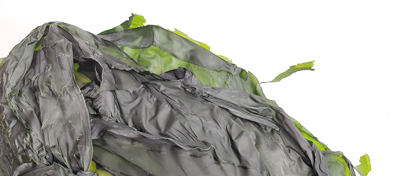 海带片 干货 详情用.jpg