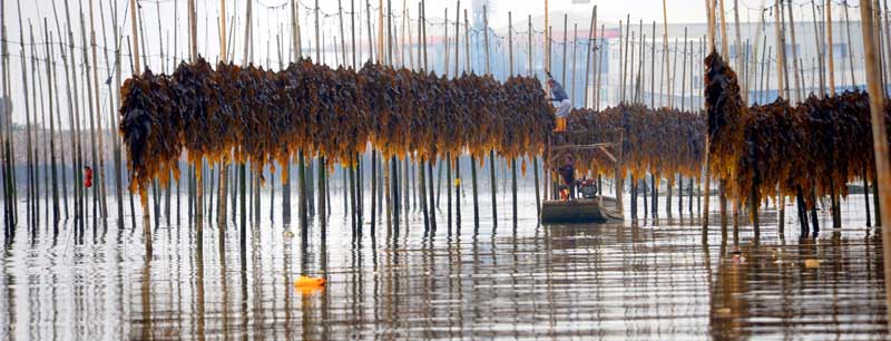 养殖图 详情用800.jpg