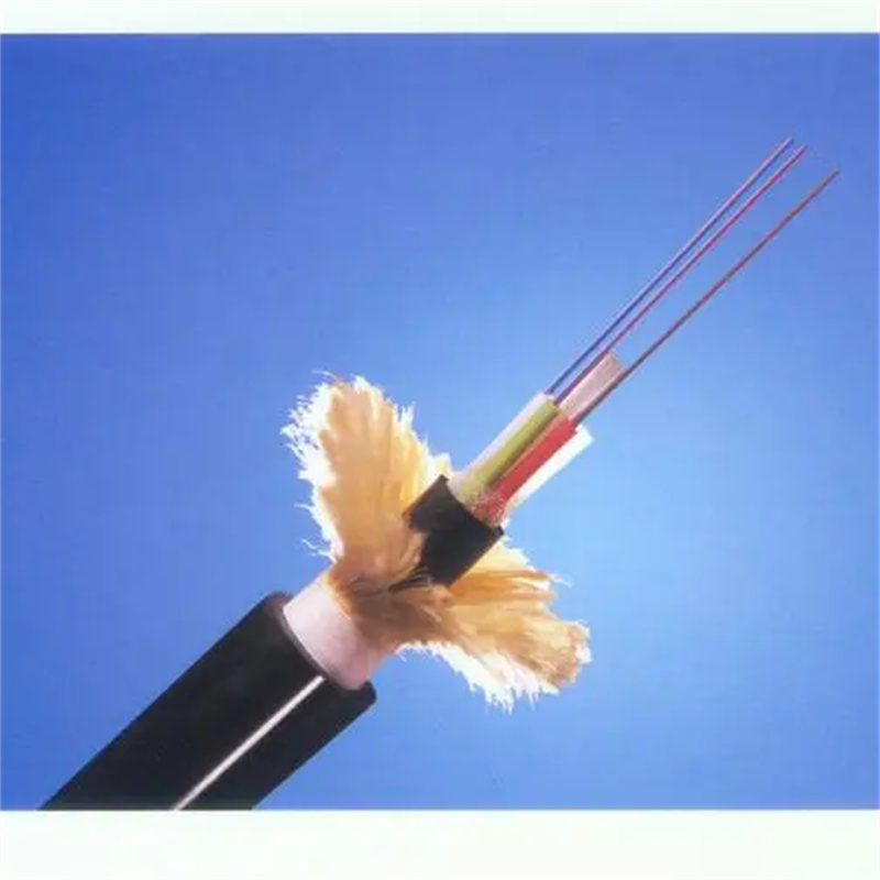 Résultats de l'ADSS