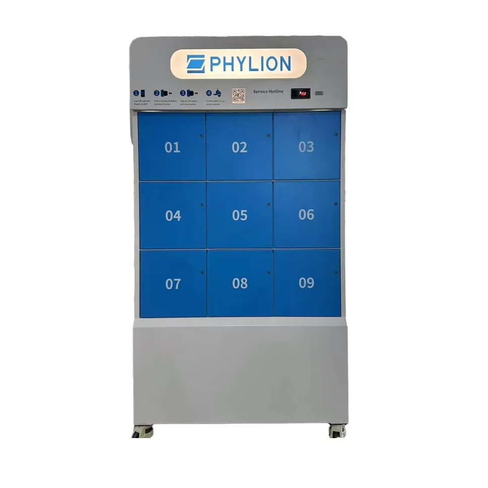 Performance Evaluation of Battery Swap Systems
