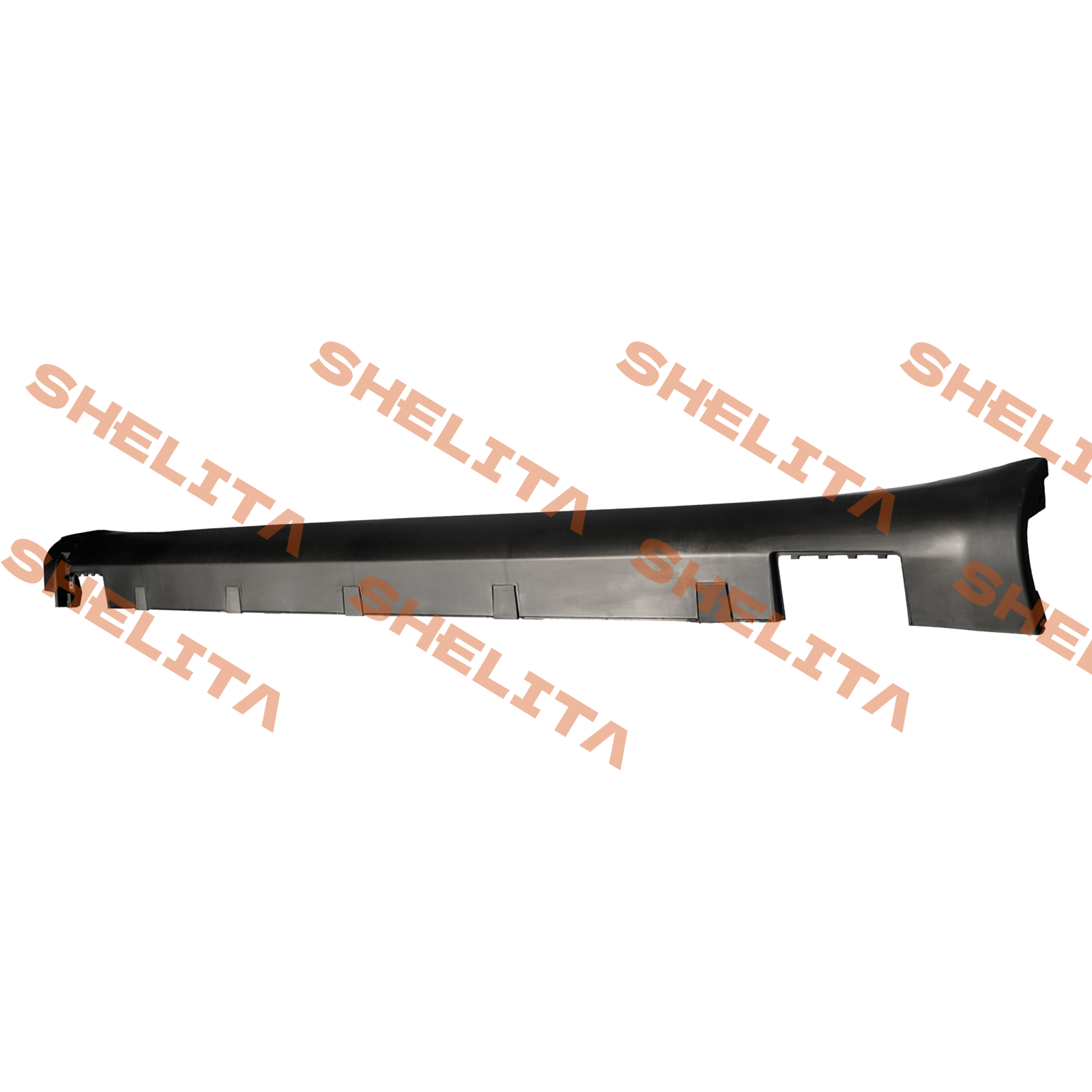 TS-MS02RP000L.png