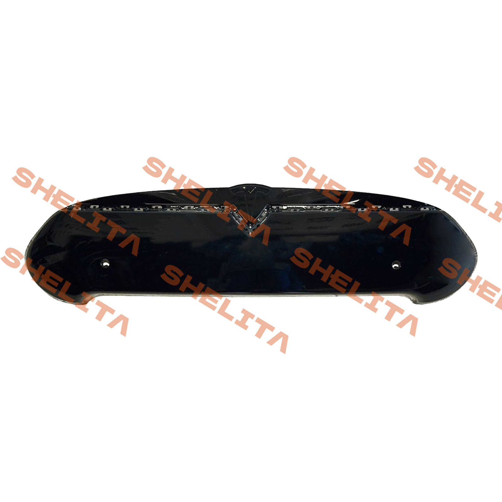 TS-MS01GL0000.png
