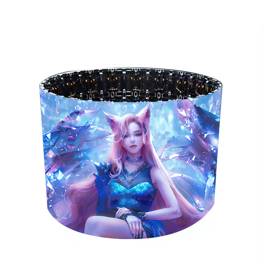 Customized Shaped Display Screen