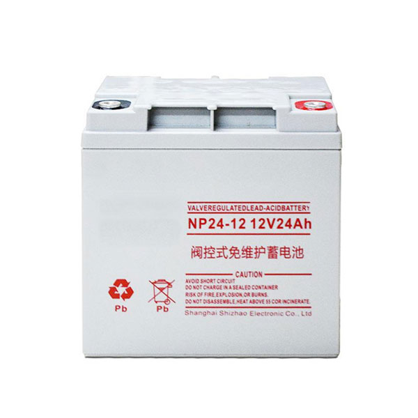 NP24-12 12V24Ah লেড-অ্যাসিড ব্যাটারি