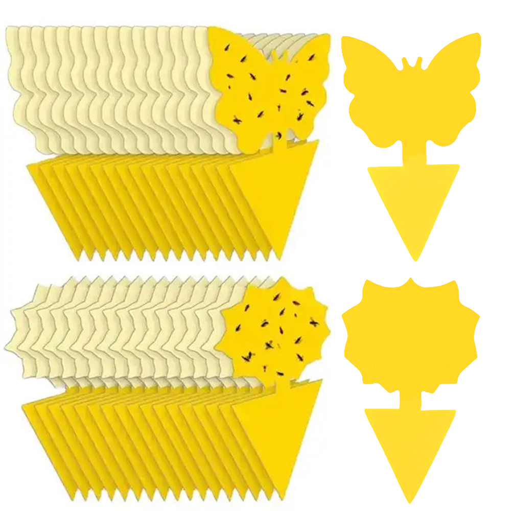 פורמולה טבעית חדשנית