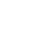 プロフェッショナルサービス  