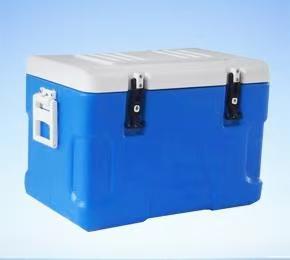Plastic insulated box