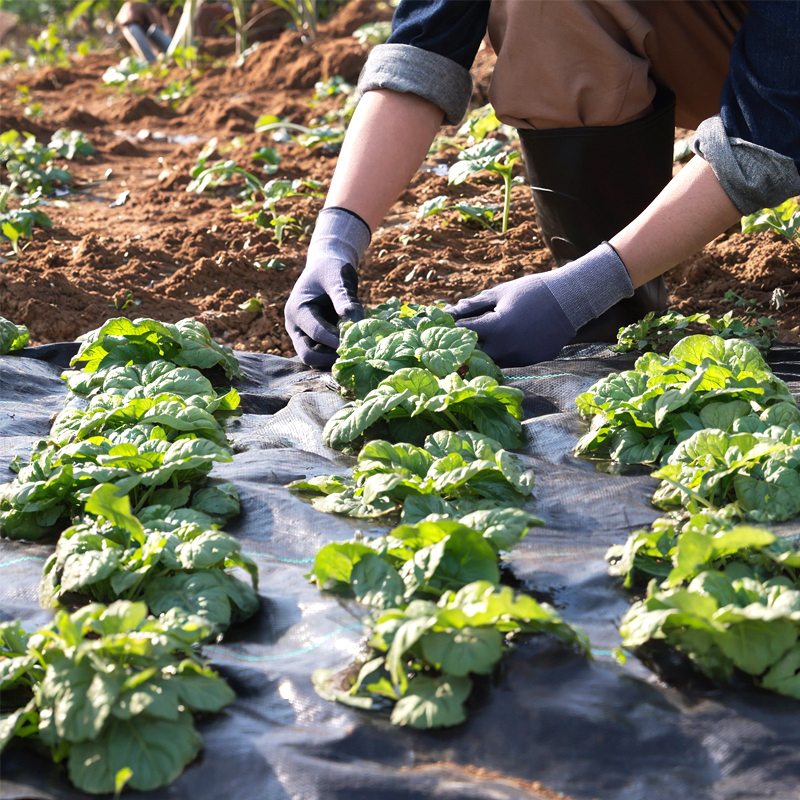 बुने और गैर-बुने भूमि कपड़े