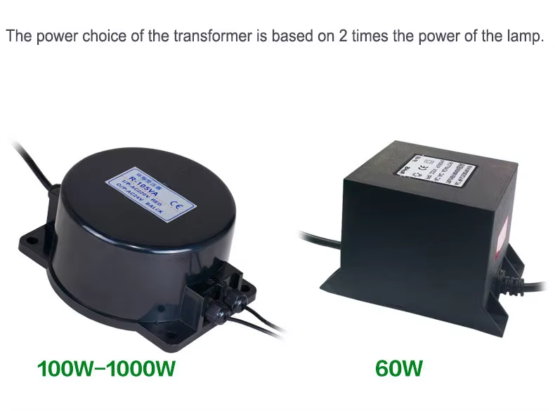 Төмөнкү каржылоо надеждүүлүгү