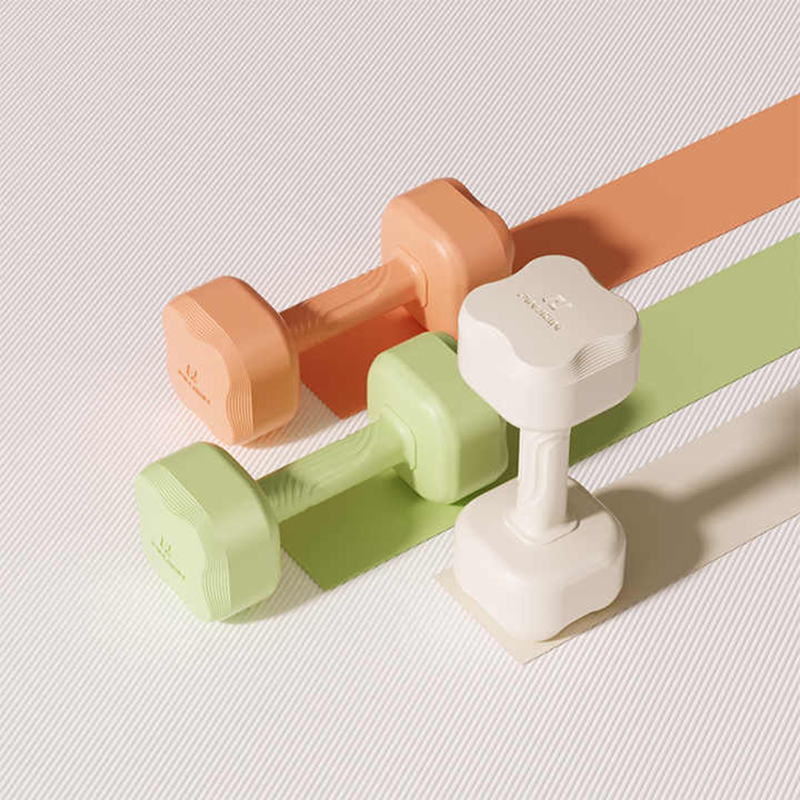 Cyflwyno newydd Gym Menywod lywio cyfonglwydd cartref Amgylchedd Sport Set Dwylen Llais Yoga Gymau Iechyd golchi pwysau cement dumbbell