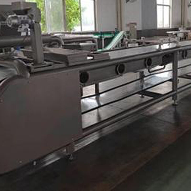 Innovando y mejorando técnicas en la producción de dulces masticables