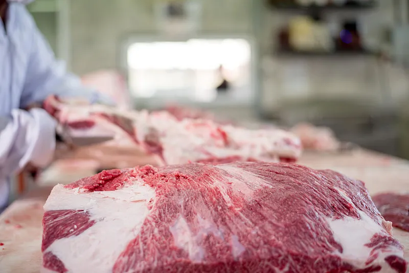 Heavy-Duty Meat Slicing Machinery for Butchery Applications