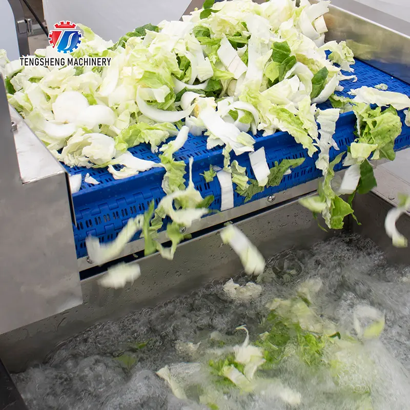 Commercial-Grade Vegetable Peeling Solutions for Food Manufacturers