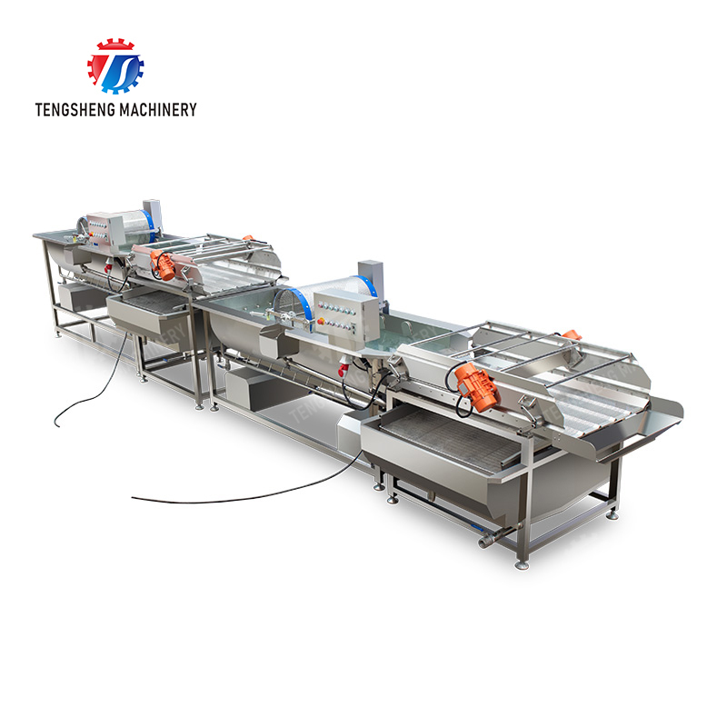 Scalable Food Sorting Technologies for Agricultural Enterprises