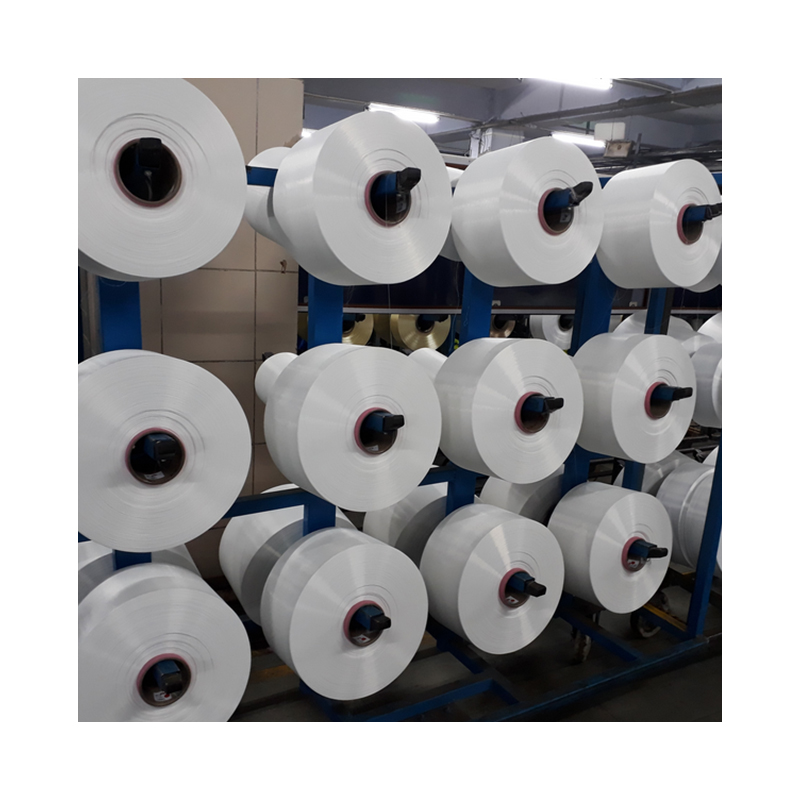 nylon mother yarn2.jpg