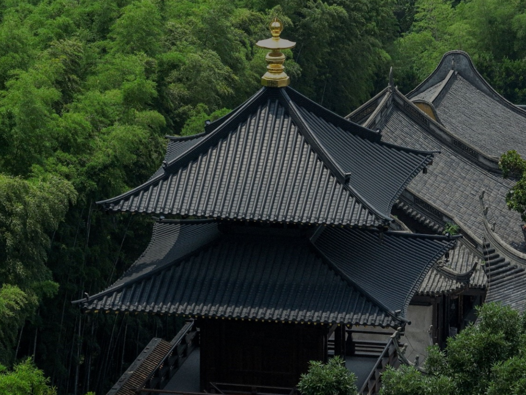 Titanium-zinc tile roof   Titanium-zinc tile roofing.