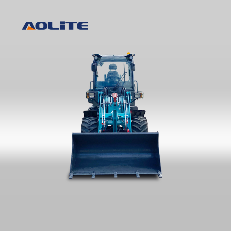 Een 10000 55 Telehandler Forklift om het werk te voltooien