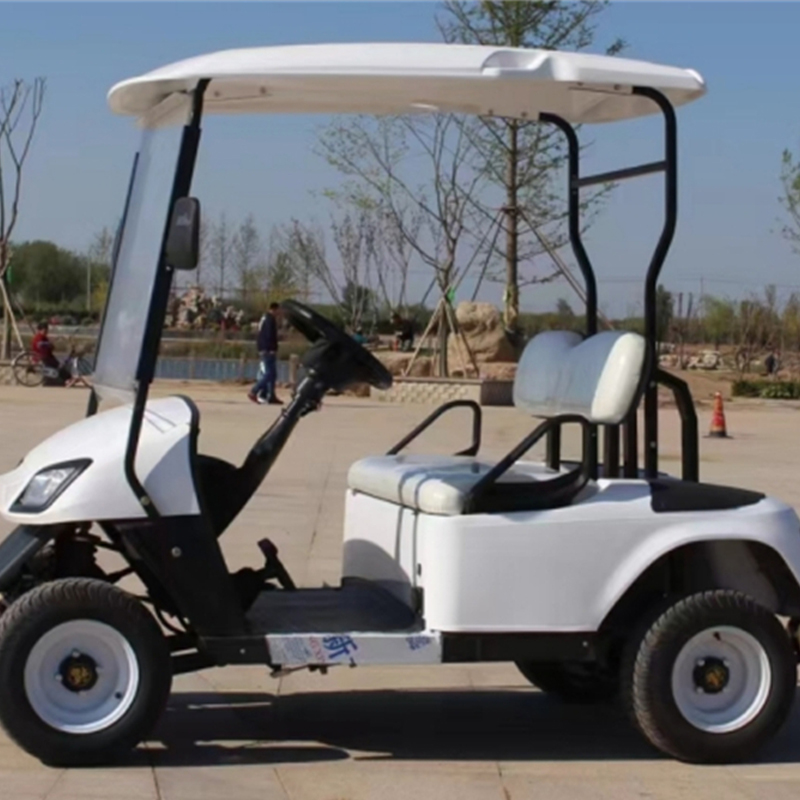 ALF-A4 سيارة كهربائية بمقعدين مصنوعة من المعدن والفولاذ والبلاستيك لصيد الغزلان أو رياضة الجولف خارج المسارات سيارة نادٍ للجولف مركبة كهربائية