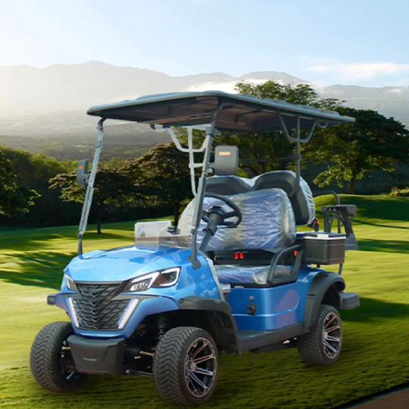سيارة كهربائية ALF-A2 مقاعد اثنين معدن فولاذي بلاستيك لصيد الجولف عربة نادي سيارة خارج الطرق عربة جولف خارج الطرق مركبة كهربائية للجولف