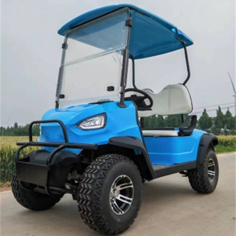 ALF-A21 سيارة كهربائية بمقعدين معدنية فولاذية بلاستيكية لصيد الغزلان عربة غولف نادي سيارة خارج الطرق عربة غولف كهربائية
