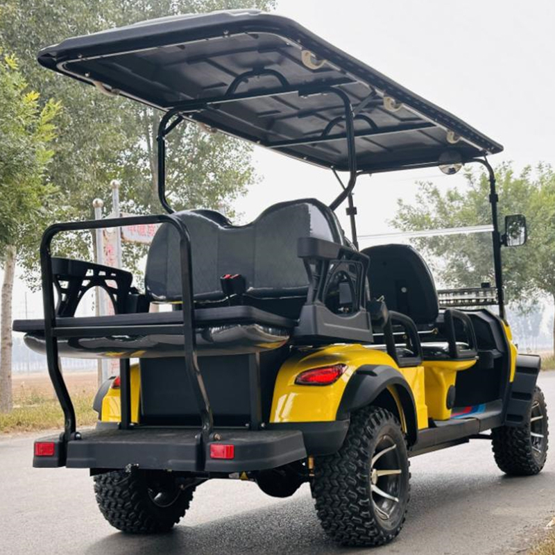 سيارة كهربائية ALF-C4+2 مقعدان من الفولاذ المعدني البلاستيكي لصيد الصيد سيارة غولف نادٍ خارجي مركبة غولف كهربائية