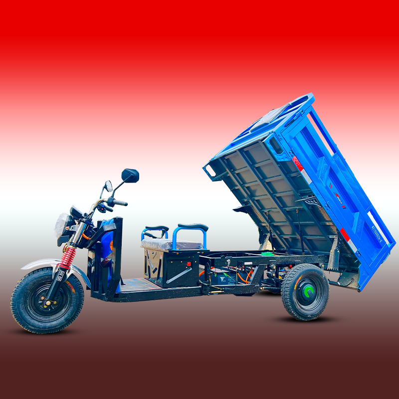 Electric Tricycle