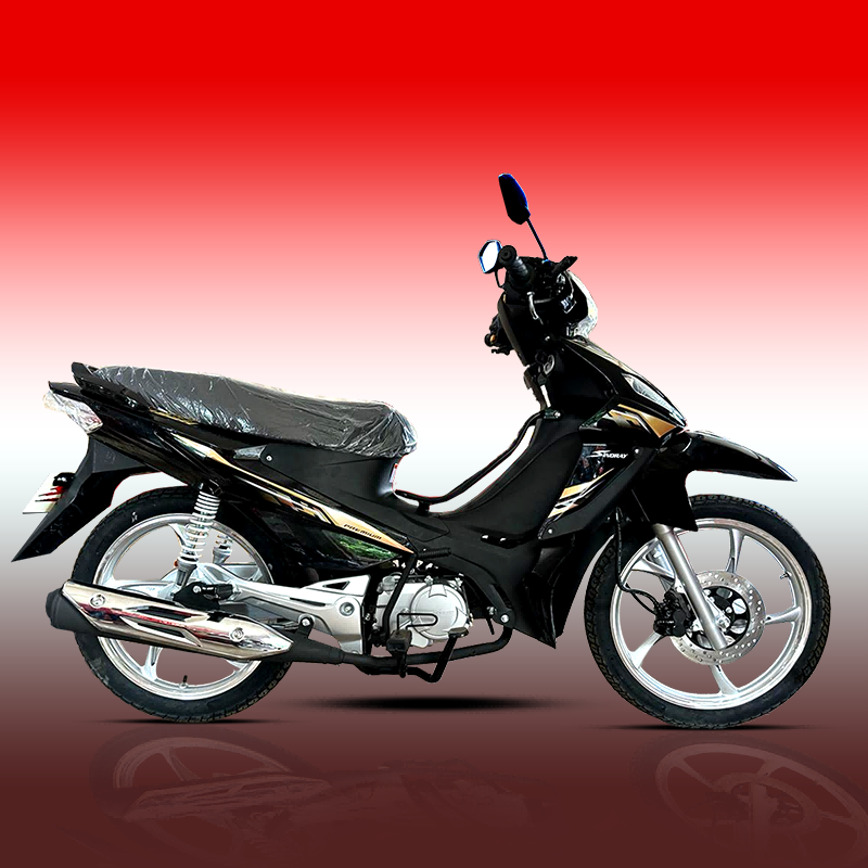 Cub Motorcycle