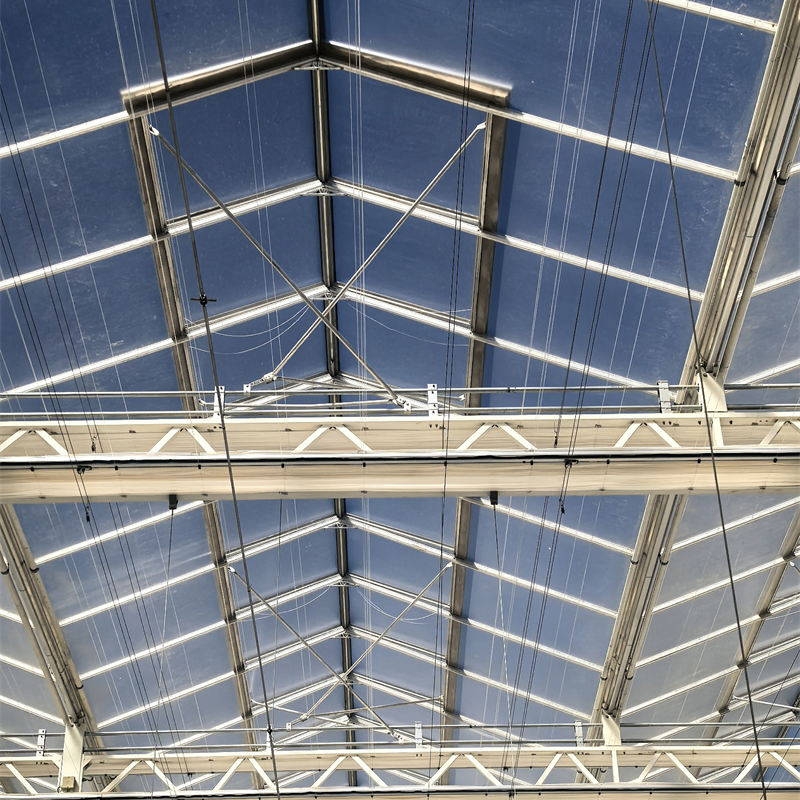 Soilless Cultivation Hooks