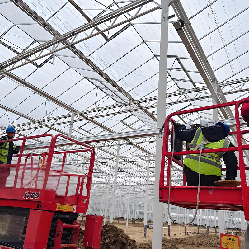 Greenhouse - All open