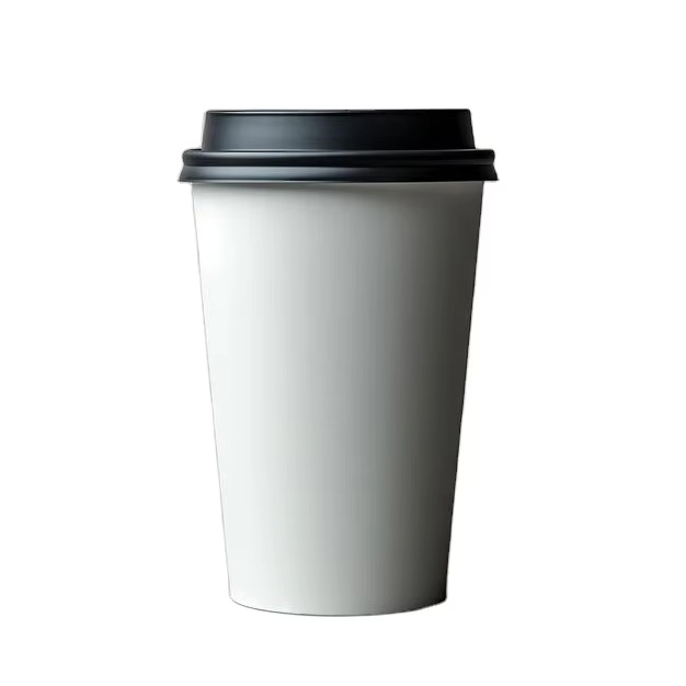 Food Paper Box vs. Plastic: Which Is Better for the Environment?
