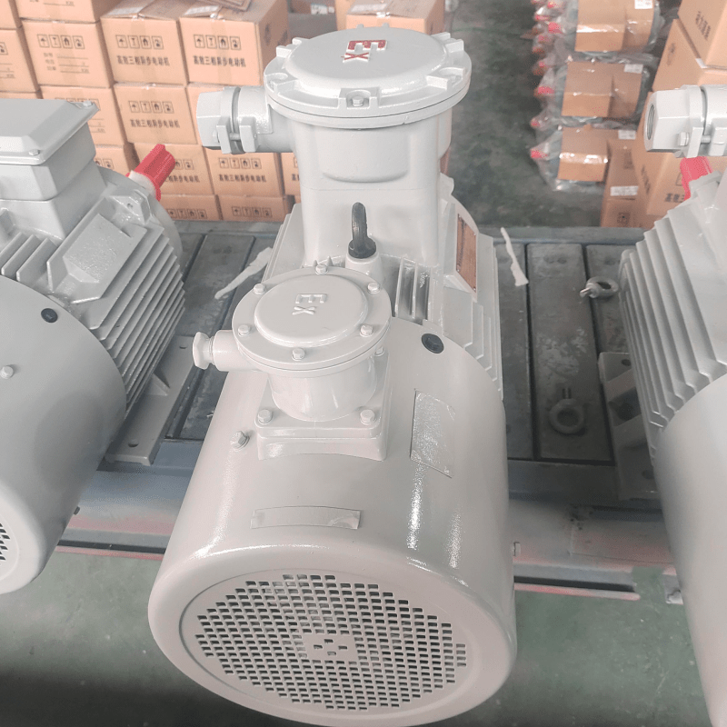 【YBBP160L-6 - YBBP315M-6】 【11-90kw】【15-122.4hp】 מנוע אסינכרוני שלושה פאזה חסין להבה