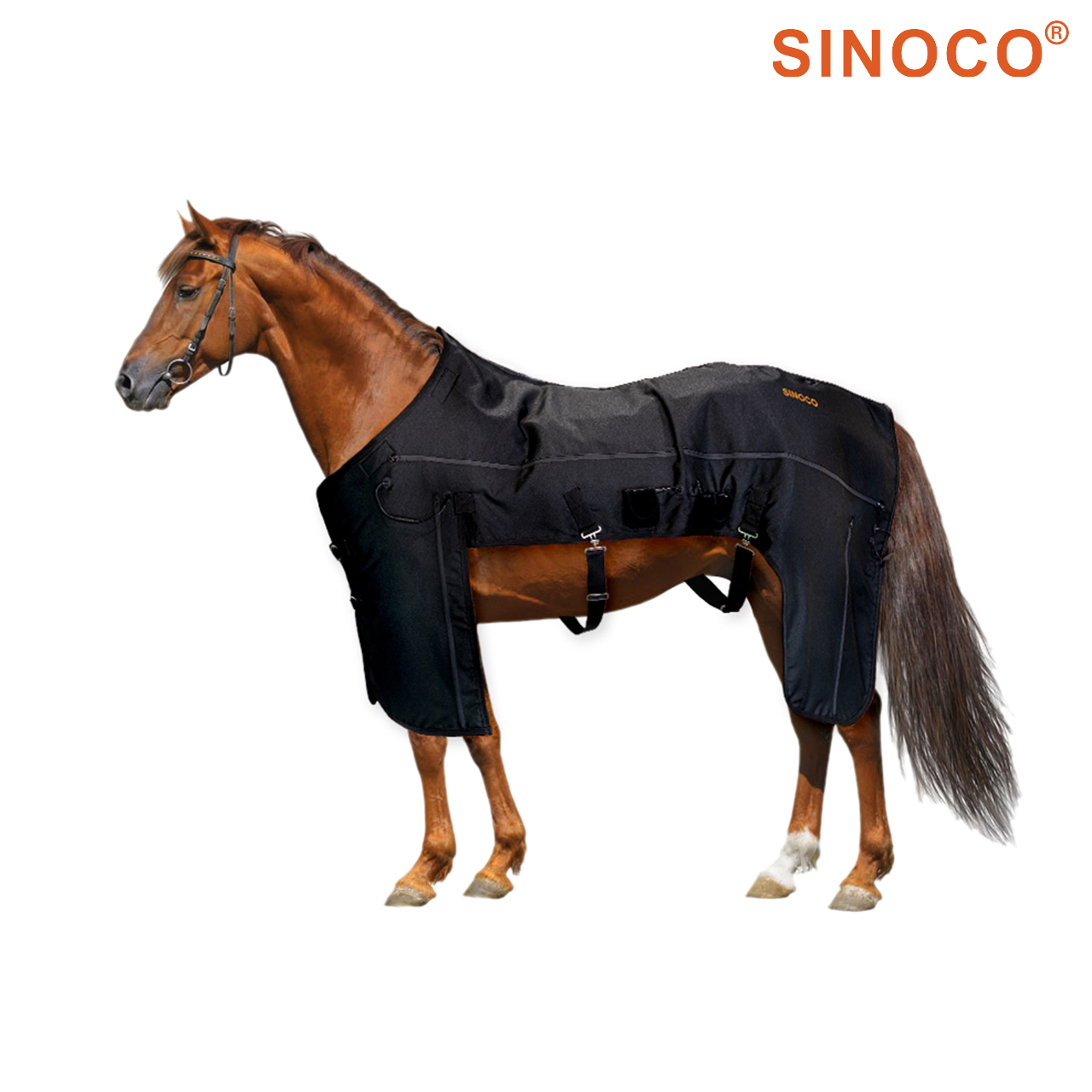 Terapie červeným světlem byla dokázána zvyšovat úroveň energie a zlepšovat celkové pohodu díky stimulaci funkce mitochondrií.