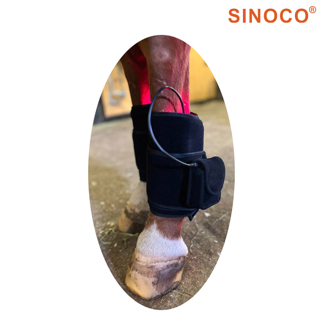 Goditi gli effetti terapeutici della terapia termica con una sauna infrarossa personale a portata di mano