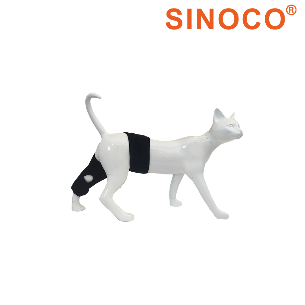 Cuffia Rimovibile e Ricaricabile per Terapia con Luce per Gatti per la Terapia Corporea e il Trattamento della Pelle, Cuffia per la Circolazione Sanguigna, Tuta Professionale per la Recupero dei Gatti