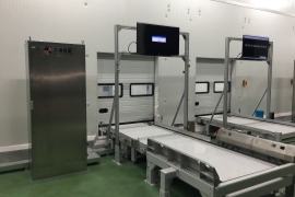 What Does ASRS Bring to Cold Storage