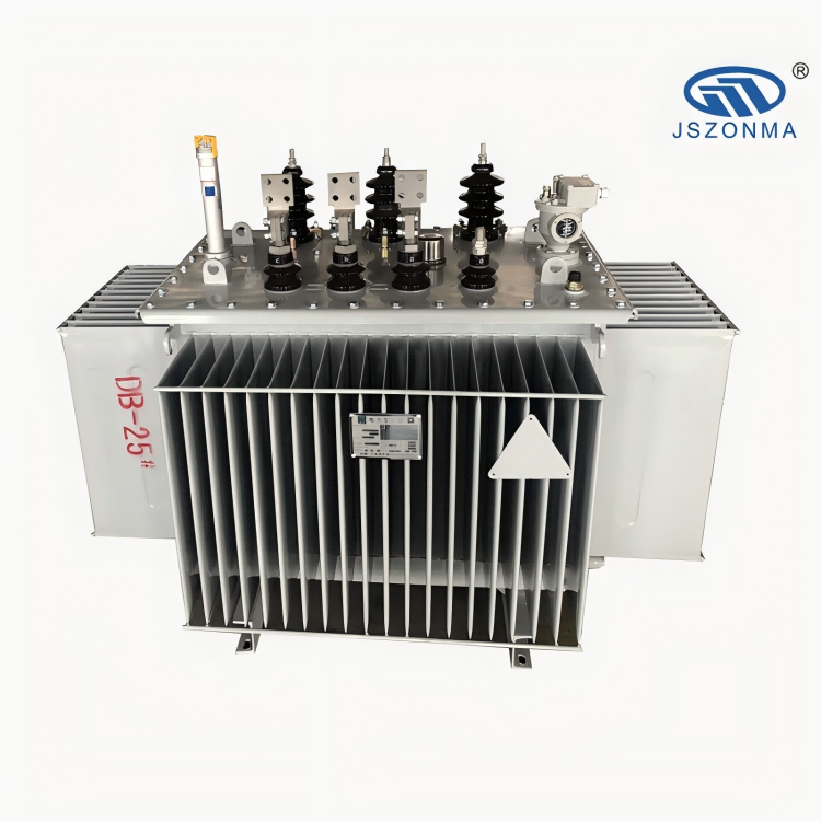 Oil - immersed transformer
