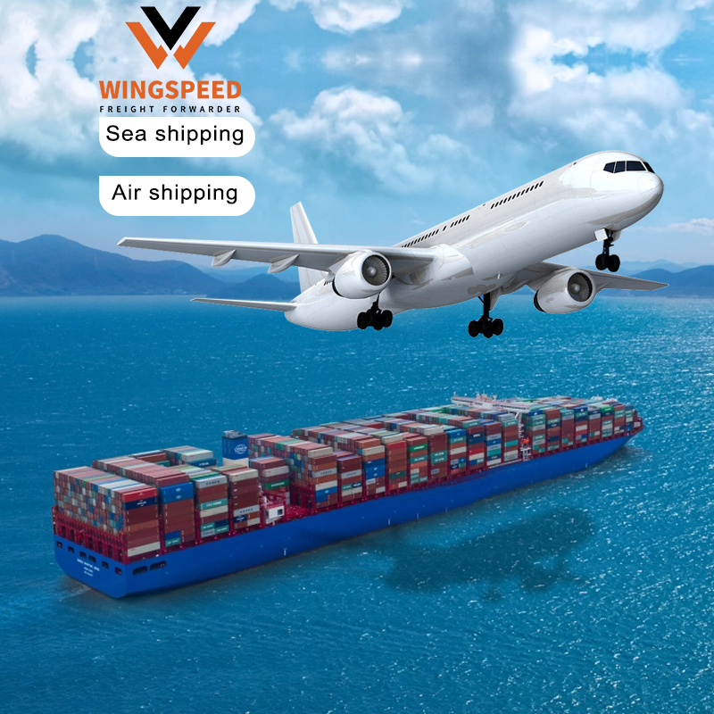 Shenzhen Wingspeed International Logistics Co., Ltd. helps small and medium-sized enterprises expand into the international market