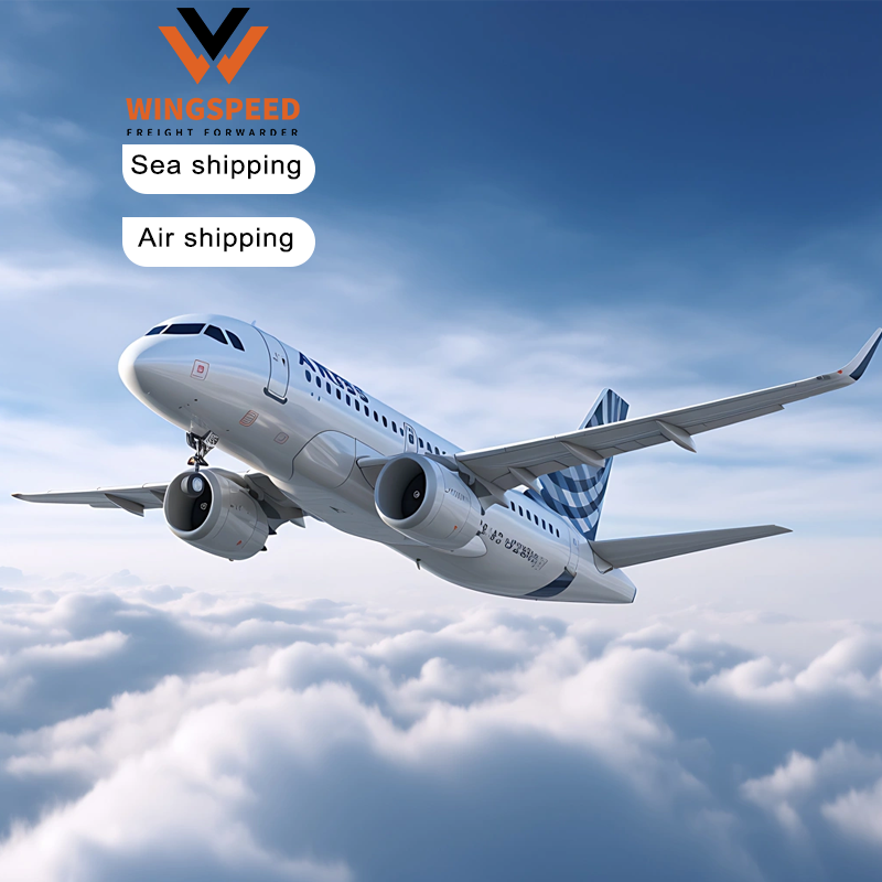 WINGSPEED International Courier Service