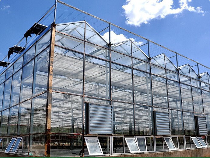 Hot Sale Steel Frame Structure Flower Planting Tunnel Greenhouse Kits Film Single Span Greenhouse