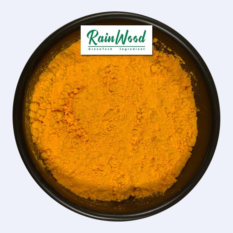 Best Curcumin Powder
