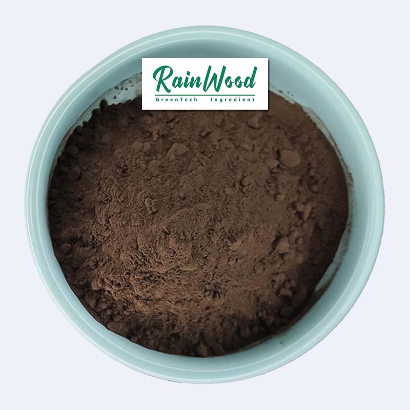 Shilajit Extract Powder