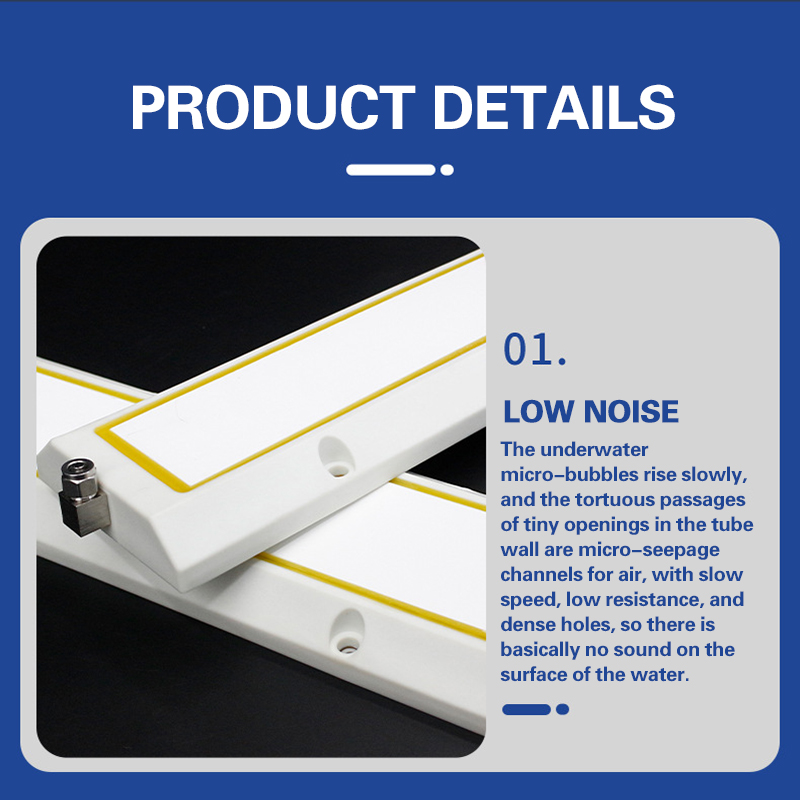 The Best Plants for Your System